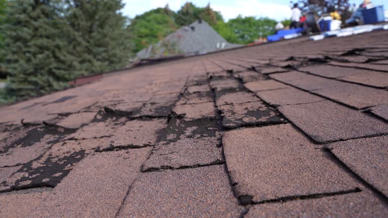 Best Asphalt Shingle Roofing  in Lake Zurich, IL