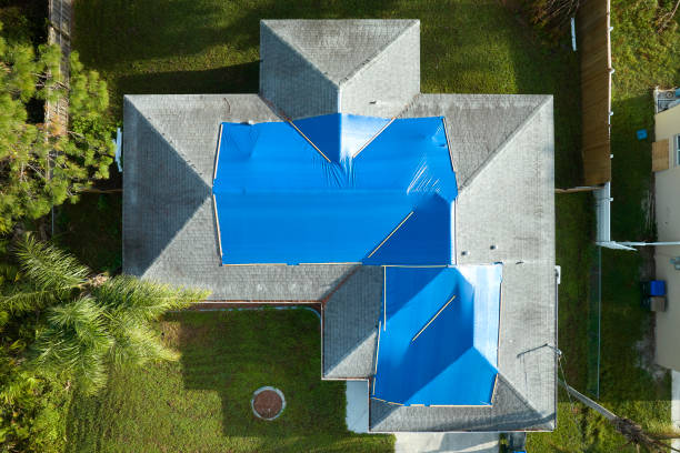 Best Roof Moss and Algae Removal  in Lake Zurich, IL
