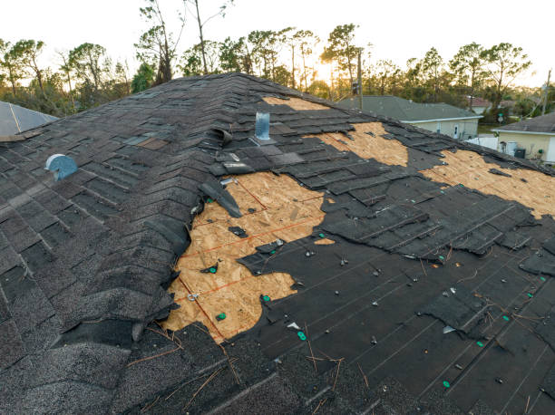 Best Roof Maintenance and Cleaning  in Lake Zurich, IL