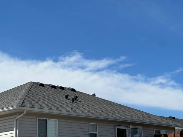 Professional Roofing Service in Lake Zurich, IL